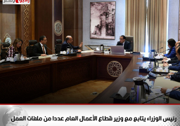 رئيس الوزراء يتابع مع وزير قطاع الأعمال العام عددا من ملفات العمل
