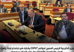 وزير الخارجية الرئيس المعين لمؤتمر COP27 يشارك في اجتماع لجنة رؤساء الدول والحكومات الأفارقة حول تغير المناخ بنيويورك