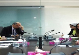 وزيرة البيئة تعقد اجتماع موسع مع السكرتير التنفيذي للأتفاقية الأطارية للأمم المتحدة