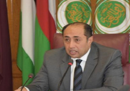 حسام زكي : الوضع الدولي يحتم على لبنان التعامل بجدية مع استحقاقاته الدستورية