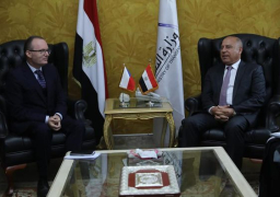 وزير النقل يبحث مع السفير التشيكي بالقاهرة التعاون في مجال إعادة تأهيل ورفع كفاءة جرارات السكك الحديدية