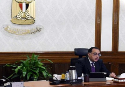 مجلس الوزراء: ارتفاع صافي تدفقات الاستثمار الأجنبي المباشر لنحو 9 مليارات دولار خلال (2021 – 2022)