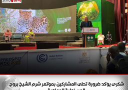 شكرى يؤكد ضرورة تحلى المشاركين بمؤتمر شرم الشيخ بروح المسئولية الجماعية