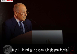 أبوالغيط: مصر والإمارات نموذج مبهر للعلاقات العربية