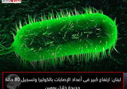 لبنان: ارتفاع كبير فى أعداد الإصابات بالكوليرا وتسجيل 80 حالة جديدة خلال يومين