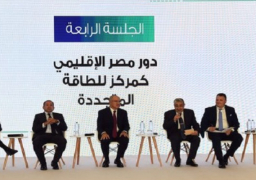 خلال المؤتمر الاقتصادي.. وزير الكهرباء: مصر لديها قدرة على إنتاج الهيدروجين الأخضر بأقل تكلفة في العالم