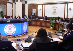 رئيس الوزراء يتابع جهود دعم وتطوير الصناعة وزيادة الصادرات