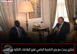 شكري يبحث مع وزير الخارجية الجامبي تعزيز العلاقات الثنائية بين البلدين