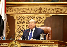 مجلس الشيوخ يحيل مشروع قانون إنشاء “صندوق مصر الرقمية” إلى اللجان المختصة