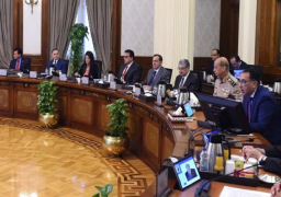 مجلس الوزراء يوافق على منح حوافز استثمارية للمشروعات الصناعية