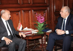 وزير الزراعة يبحث مع محافظ القليوبية سرعة إنهاء إجراءات تخصيص الأراضي لمشروعات النفع العام وحياة كريمة