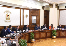 رئيس الوزراء يعقد اجتماعاً لبحث مستجدات تطوير مجمع الألومنيوم بنجع حمادي