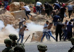 198 منظمة عالمية تطالب “الجنائية الدولية” بالتحقيق في جرائم الاحتلال ضد الفلسطينيين