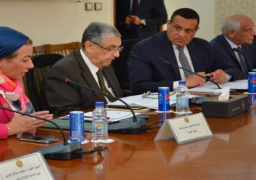 اجتماع بين 4 وزراء لمتابعة مشروع تحويل المخلفات إلى طاقة كهربائية بأبو رواش