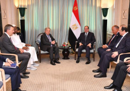 الرئيس السيسي يؤكد لجوتيريش تقدير مصر للتعاون المثمر مع الأمم المتحدة في قضية تغير المناخ