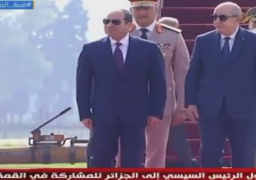بالفيديو .. الرئيس الجزائرى يستقبل الرئيس السيسي لدى وصوله إلى الجزائر للمشاركة في القمة العربية الحادية والثلاثين