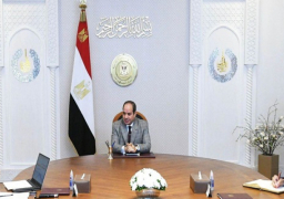 بالفيديو.. الرئيس السيسي يتابع نشاط هيئة قناة السويس