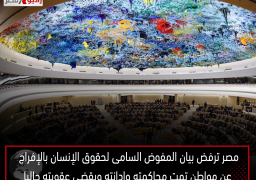 مصر ترفض بيان المفوض السامى لحقوق الإنسان بالإفراج عن مواطن تمت محاكمته وإدانته ويقضى عقوبته حاليا