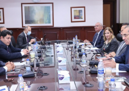 وزيرا قطاع الأعمال العام والاتصالات وتكنولوجيا المعلومات يبحثان تعزيز التعاون في التحول الرقمي