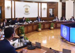 الإفراج عن بضائع بقيمة نحو 5 مليارات دولار خلال 23 يوما منذ مطلع ديسمبر الجاري