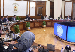 رئيس الوزراء يتابع موقف الخطة الإعلامية والتوعوية للمشروع القومي لتنمية الأسرة المصرية