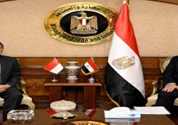 وزير التجارة والصناعة يبحث مع سفير سنغافورة بالقاهرة تطورات التعاون الاقتصادي والاستثماري بين البلدين