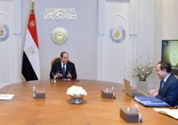 بالفيديو.. الرئيس السيسي يتابع جهود الدولة للبحث والاستكشاف للغاز الطبيعي والبترول