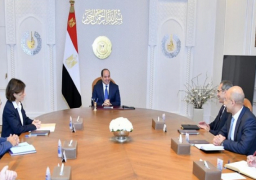 الرئيس السيسي يستعرض جهود التعاون المشترك مع مجموعة “أورانج” العالمية في قطاع الاتصالات وتكنولوجيا المعلومات