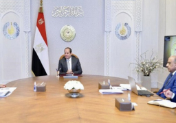 الرئيس السيسي يوجه بمواصلة جهود تطوير شركات قطاع الأعمال العام بما يعظم المردود الناتج عنها لصالح الاقتصاد الوطني