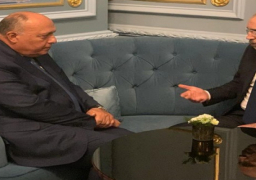 الوزير شكري يلتقي مع نظيره الأردني على هامش مشاركتهما في منتدى حوارات روما المتوسطية