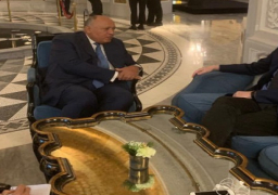 بالصور.. خلال لقائه مع المبعوث الأممي الخاص إلى سوريا.. شكري يؤكد ضرورة الحل السياسي للأزمة السورية