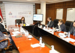 وزيرة التخطيط تبحث سبل التعاون مع شركة ليوني مصر