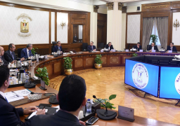 رئيس مجلس الوزراء : هذه المُبادرة تخدم الاقتصاد المصري بصورة حيوية للغاية وتسهم في دمج مزيد من الكيانات غير الرسمية ضمن مظلة الاقتصاد الرسمي