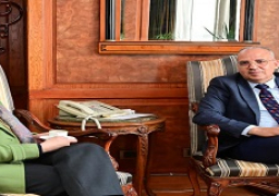 وزيرا الرى والبيئة يبحثان مجهودات حماية الشواطئ المصرية ، ووضع منظومة متكاملة لإدارة المناطق الساحلية