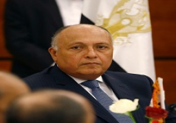 مباحثات مصرية صينية غدا بالقاهرة على مستوى وزيري الخارجية