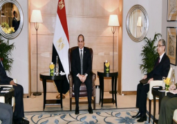 الرئيس السيسي يؤكد اهتمام مصر بالتعاون مع الجانب الهندي في مجال الطاقة الجديدة والمتجددة