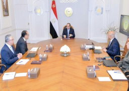 الرئيس السيسي يوجه بتطوير الجهود والأنشطة الاستثمارية للمنطقة الاقتصادية لقناة السويس