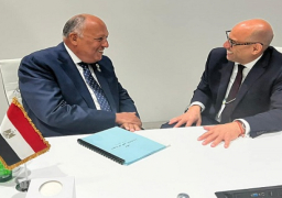 بالصور .. على هامش قمة أسبوع أبو ظبي للاستدامة… شكري يلتقي السكرتير التنفيذي لإتفاقية الأمم المتحدة الإطارية لتغير المناخ