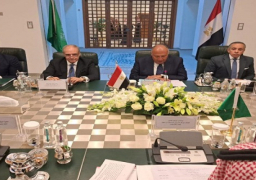 بالصور.. مصر والسعودية تؤكدان أهمية استمرار التنسيق لمواجهة التحديات الماثلة أمام الطرفين وفي المنطقة