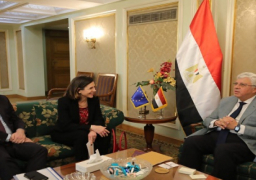 بالصور.. وزير التعليم العالي والبحث العلمى يبحث آليات دعم التعاون العلمي مع الاتحاد الأوروبي