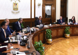 رئيس الوزراء يستعرض سبل توفير الزيوت الخام محلياً لسد الفجوة والحد من الاستيراد