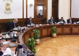 رئيس الوزراء يستعرض مخطط مشروع مدينة صناعية في “أكتوبر الجديدة”