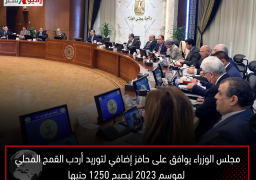 مجلس الوزراء يوافق على حافز إضافي لتوريد أردب القمح المحلي لموسم 2023 ليصبح 1250 جنيها