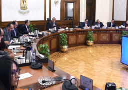 مدبولي يناقش التحضيرات الأولية للمشاركة المصرية بقمة مجموعة العشرين كضيف للرئاسة الهندية