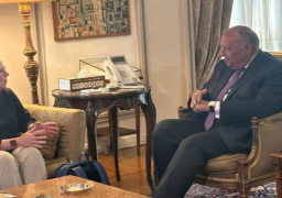 وزير الخارجية يؤكد أهمية دور القوة متعددة الجنسيات في سيناء لترسيخ السلام