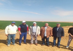 وزير قطاع الأعمال العام من توشكى: التوسع في زراعة القمح وزيادة مساحته إلى 50% من إجمالي المساحة