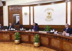 رئيس الوزراء يبحث فرص توطين صناعة مكونات مشروعات الكهرباء