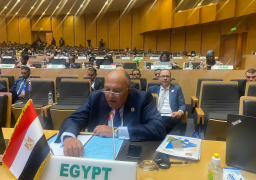 سامح شكري يطالب بتعديل التشكيل الحالي لمجلس السلم والأمن الإفريقي ليكون أكثر تمثيلاً لإقليم الشمال الإفريقي