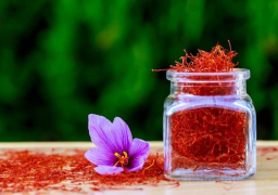 الذهب الأحمر .. الزعفران تاريخه واستخداماته من زمن الفراعنة للآن