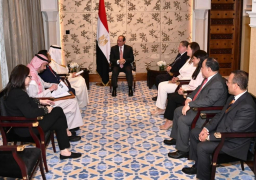 الرئيس السيسي يلتقي الدكتور محمد الجاسر رئيس مجموعة البنك الإسلامي للتنمية في دبي